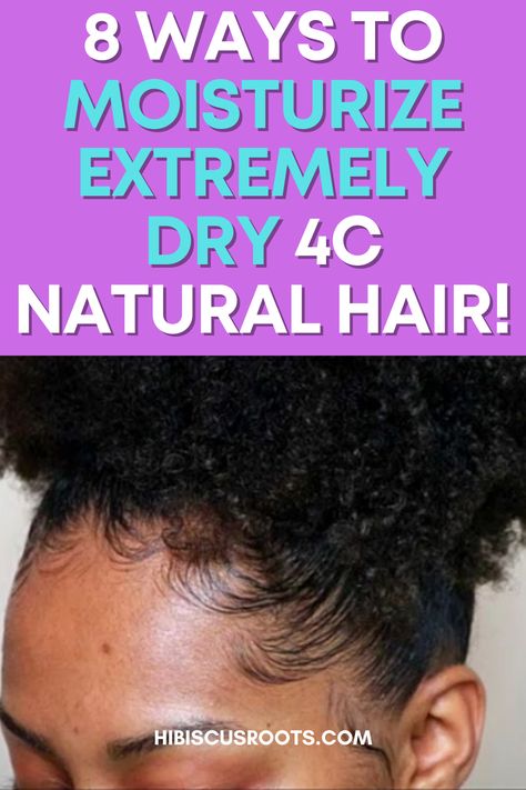 How To Lock In Moisture In Natural Hair, Moisturizing Dry Hair, Products To Moisturize Natural Hair, Leave In Moisturizer For Natural Hair, How To Care For 4c Natural Hair, Moisture For Natural Hair, How To Moisture Dry Natural Hair, Hydrate 4c Natural Hair, Good Moisturizer For Natural Black Hair