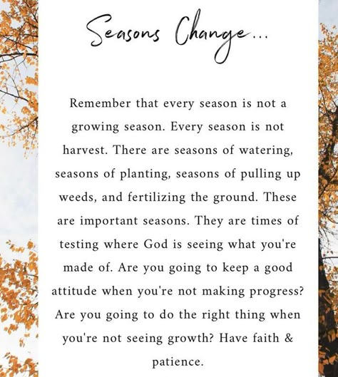 Seasons Change ...  Have faith & patience. Changing Seasons Of Life Quotes, Quote About Seasons Of Life, Just A Season Quote Life, Season In Life Quotes, Change Of Seasons Quotes Life, Season Of Change Quotes Life, Seasons In Life Quotes Faith, Rough Season Of Life Quotes, People Seasons Quote Life