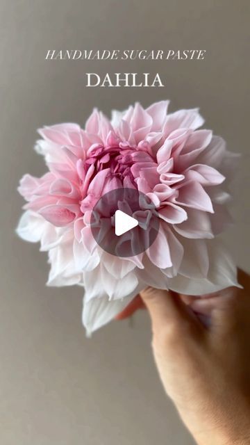 Dalia Flower, Sugarpaste Flowers, Nature Cake, Cake Decorating Flowers, Sugar Paste Flowers, Sugar Flowers Cake, Sugar Flowers Tutorial, Pottery Projects, Wafer Paper Flowers