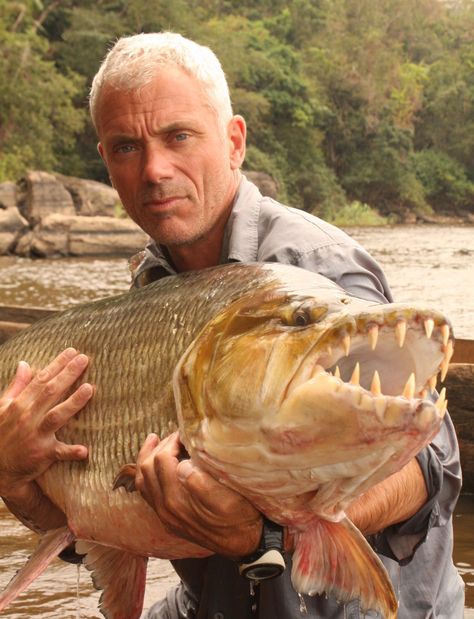 Jeremy Wade from River Monsters- slightly obsessed with this show :) Tiger Fish, Jeremy Wade, River Monsters, Monster Fishing, Fishing Pictures, Cool Fish, Gone Fishing, Sea Monsters, Best Fishing