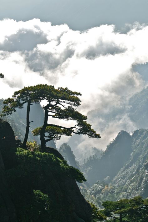 Environment Painting, Huangshan, Location Inspiration, Chinese Landscape, Eastern Art, Rural Landscape, Tree Silhouette, Wild Nature, Sumi E