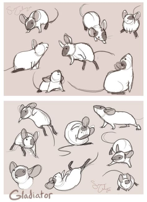 Maus Illustration, Mouse Drawing, Animal Study, Drawing Animals, 캐릭터 드로잉, Animal Drawing, Arte Sketchbook, Animal Sketches, Cute Animal Drawings