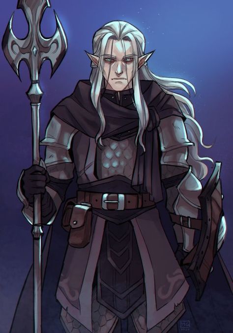 Grave Cleric, Shadar Kai, Dnd Cleric, Dnd Paladin, Dnd Oc, Dnd Elves, Elf Art, Fantasy Concept, High Elf