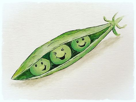 Sarah Lucking on Instagram: “Here’s my drawing for day 5 of the #heatherbellecrafts #maydrawingadaychallenge and the prompt was #peas 😊I think they look pretty hap-pea!…” Pea Pod Drawing, Peas Drawings, Pea Drawing, Vegetable Images, Cafe Signs, Baby Bach, Vegetable Drawing, Sibling Tattoos, Inspirational Illustration