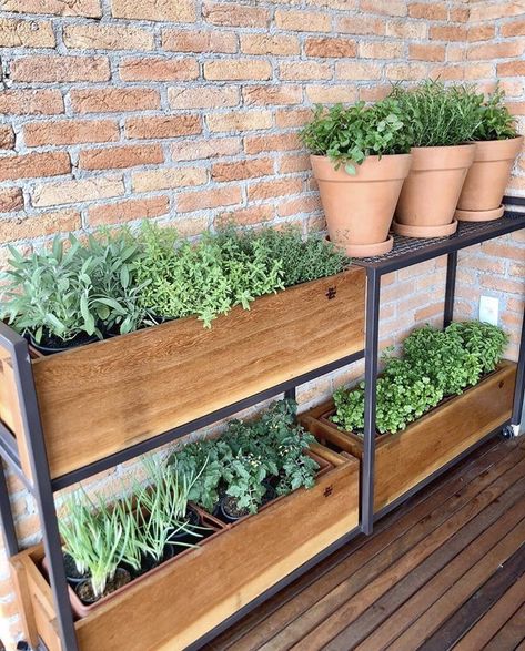 Balcony Garden Bed, Renter Friendly Vegetable Garden, Terrace Herb Garden, Balcony Food Garden, Herb Garden On Deck, Hanging Herb Garden Outdoor, Huerta En Casa Ideas, Garden On Balcony, Plant Shelf Outdoor