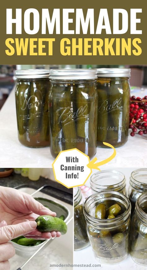 Canning Sweet Gherkin Pickles, Sweet Pickle Canning Recipe, Sweet Gherkins Pickles Recipes, Canned Sweet Pickles, Canning Whole Sweet Pickles, Homemade Sweet Pickles Recipe, How To Make Sweet Pickles, Sweet Pickles Canning Recipes, Sweet Pickle Recipes Canning