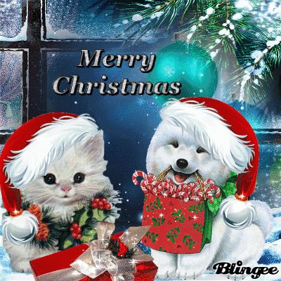 Happy Doggies Merry Christmas Gif quotes gifs christmas merry christmas christmas quotes best christmas quotes merry christmas gifs beautiful christmas gif christmas gif images christmas gif images animated merry christmas gifs animated merry christmas gif images christmas gifs 2020 christmas quotes 2020 merry christmas quotes 2020 best christmas gifs Best Christmas Quotes, Teddy Bear Images, Xmas Greetings, Good Night Funny, Merry Christmas Gif, Gif Photo, Merry Christmas Quotes, Birthday In Heaven, Tumblr Image