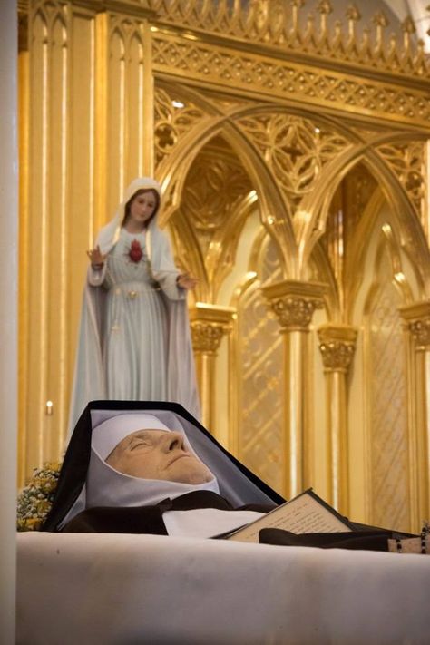 Mother Angelica Incorruptible Saints, Mother Angelica, Divine Mercy Chaplet, Blessed Sacrament, The Annunciation, Lady Of Fatima, Blessed Mother Mary, Catholic Quotes, The Virgin Mary