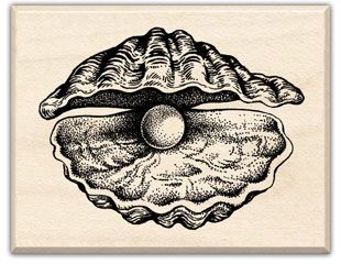 Happy as a clam. Seashell Drawing, Pearl Tattoo, Shell Drawing, Shell Tattoos, Pearl Oyster, Art Coquillage, French Bistro, Oyster Shell, A Drawing