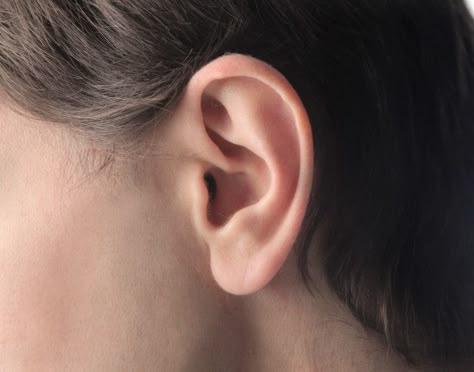 Ear Reference Photo, Ear References, Ears Reference, Ear Picture, Human Anatomy Reference, Ear Anatomy, Minimal Beauty, Face Angles, Human Body Drawing