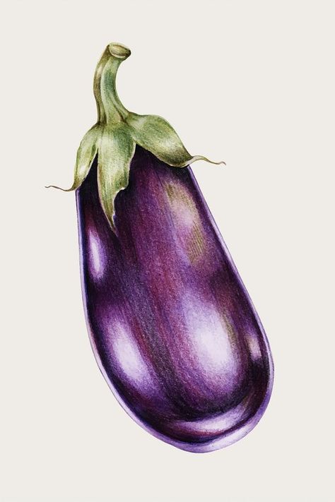 Eggplant Illustration, Colored Pencil Artwork Ideas, Vegetable Drawing, Fruit Art Drawings, Vegetable Print, Vegetable Painting, Color Pencil Sketch, Prismacolor Art, Fruits Drawing