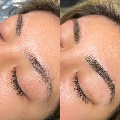 Obsessed with this transformation, swipe to see how she went from very little tail hair to these gorgeous brows ✨ Want to learn how to create brows like these? I have one spot left for my beginners nano training starting September 1st! Link in bio for more information. #nanobrows #machinehairstrokes #nanobrowspmu #nanobrowtraining #nanobrowsandiego #sandiegopermanentmakeup #sandiegobrows #sandiegomicroblading Nano Blading Eyebrows, Nano Eyebrows, Nano Brows Before And After, Nano Brows, Eyebrow Before And After, Eyebrow Styles, Tail Hair, September 1st, Cosmetic Tattoo