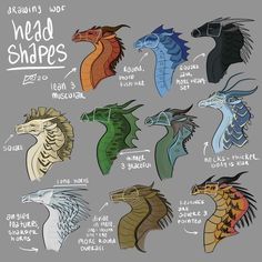 550 Wings of fire ideas in 2022 | wings of fire, wings of fire dragons, fire art Local Cryptid, Fire Wings, Tips On Drawing, Drawing Tips And Tricks, Drawing Dragons, Dragon Poses, Dragon Anatomy, Fire Ideas, Dragon Heads