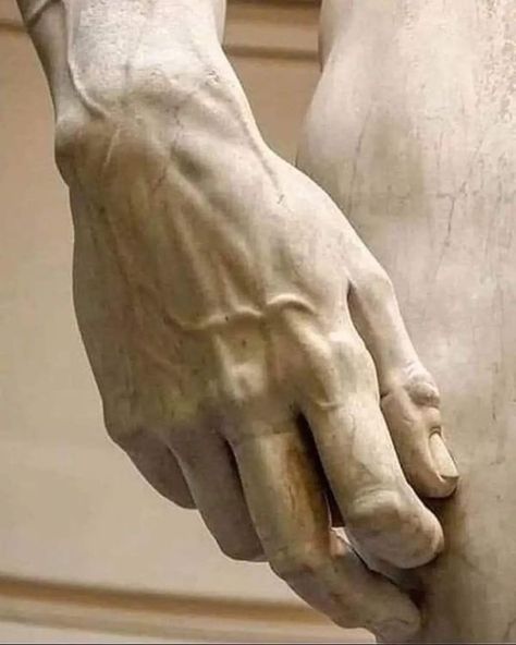 Art is everything | Michelangelo also made the blood flow in the marble.. Michelangelo Aesthetic, Accademia Gallery Florence, David Of Michelangelo, Saint Michael Statue, Michelangelo Sculpture, Mechanical Drawing, Portfolio Pieces, Drawing Books, Italian Paintings