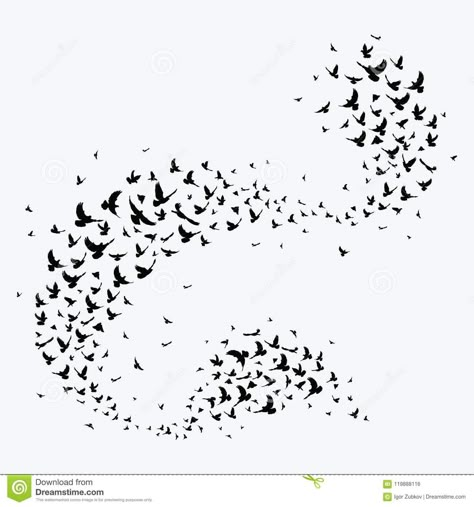 Flock Birds Tattoo, Starling Murmuration Tattoo, Flock Of Birds Illustration, Murmuration Tattoo, Flying Birds Tattoo Design, Flock Of Birds Tattoo, Pigeons Illustration, Black Crow Tattoos, Pigeon Tattoo