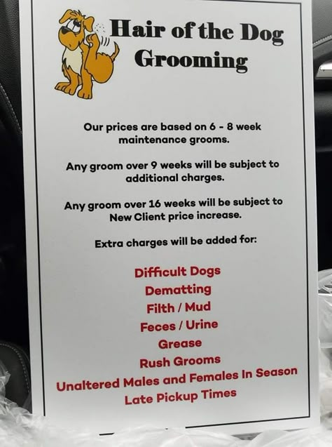 Pet Grooming Business Interior Design, Home Dog Grooming Salon Ideas, Small Dog Grooming Salon Ideas, Grooming Salon Ideas Design, Dog Salon Ideas, Grooming Business Ideas, Dog Grooming Salon Ideas, Groomer Humor, Grooming Shop Ideas