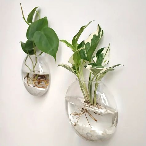 Hanging Glass Planters, Vase Terrarium, Hanging Glass Terrarium, Bulb Vase, Terrarium Containers, Air Plant Terrarium, Hanging Vases, Glass Flower Vases, Glass Planter