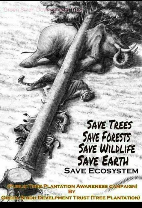 Deforestation Poster, Save Animals Poster, Save Earth Drawing, Environmental Posters, Forest Conservation, Forest Drawing, Wildlife Day, Save Environment, Environment Painting