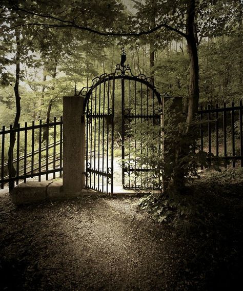 old cemetary gates | Gate into the Old Kahlenberg Cemetery, Vienna Old Gates, Gates And Fences, Old Cemeteries, Iron Gates, Belem, Iron Gate, Fence Gate, Garden Gate, Garden Gates