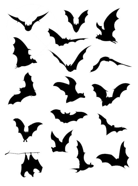 bats Bat Silhouette Art, Bat Silhouette Tattoo, Bat Sillouhette, Bats Tattoo, Bat Outline, Moldes Halloween, Bat Silhouette, Flying Bats, Bat Art