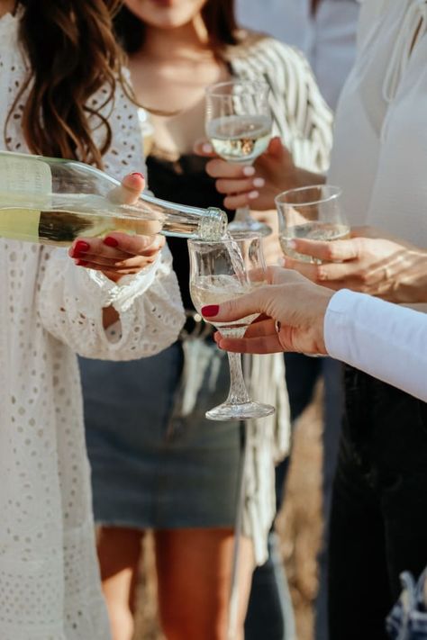 A collection of the best summer wines all under $25 a bottle - the best white, red, rosé and sparkling wines for summer. Wine Shoot, Wine Vibes, Wine Marketing, Wine Photo, Recovering Alcoholic, Make Your Own Wine, Wine Photography, Wine Connoisseur, Summer Wines