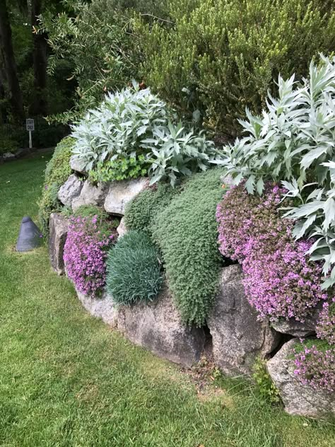 Love this wall Terraced Gardens Slope, Rock Wall Garden Ideas, Stonecrop Garden, Rock Wall Landscaping, Modern Backyard Garden, Rock Wall Garden, Rock Wall Gardens, Rockery Garden, Stone Walls Garden