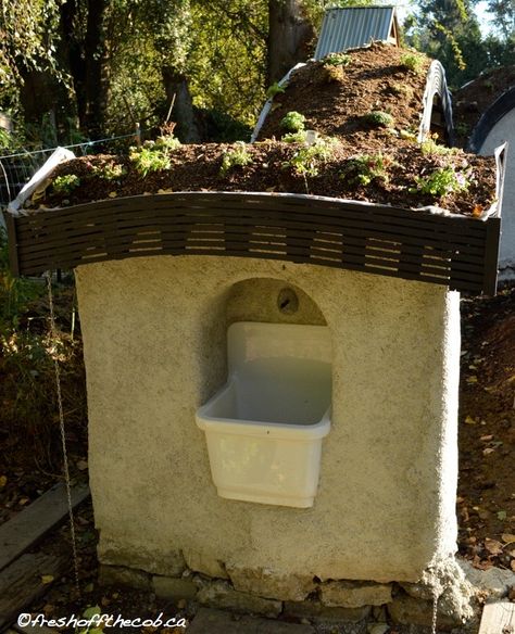 Building the Cob and Green Roof Garden Wall – Part 4: The Cob and Reclaimed Sink Water Fountain – FRESH OFF THE COB Cob Garden Wall, Cob Bathtub, Green Roof Garden, Cob Homes, Home Fountain, Homestead Farm, Wood Roof, Garden Farm, Cob House