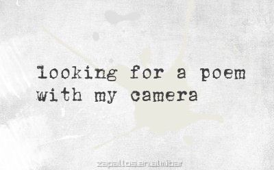 Poem About Photography, Poems About Photography, Film Photography Quotes, Quotes About Photos, Camera Quotes, Photographer Quotes, Photography Poetry, Photography Quotes, Forehead Kisses