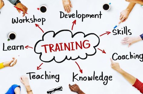 Ten Tips for Training New Employees:https://www.bbalectures.com/ten-tips-for-training-new-employees/ Train The Trainer, Employee Development, Capacity Building, Employee Training, Training And Development, New Employee, Six Month, Corporate Training, Skill Training