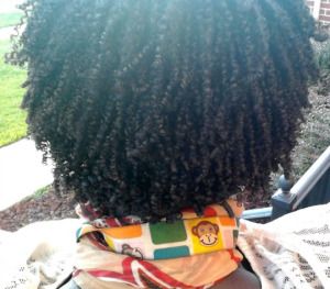 Maximum Hydration Method, Max Hydration Method, Funny Hairstyles, 4c Hair Type, Curls Ideas, Natural Hair Journey Growth, Fantastic Hairstyles, Afro Styles, Type 4c Hairstyles