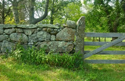 Stone gate post three; stone walls of Chilmark; Fulling Mill, along South Road; Martha’s Vineyard, Massachusetts, USA. August 2012. Stone Wall With Fence, Rock Wall Driveway Entrance, Drystack Stone Wall, Stone Wall With Gate, Stone Wall Outdoor Fence, Stone Gate Entrance, Stone Walls Outdoor, Stone Fence Ideas, Stone Wall Outdoor