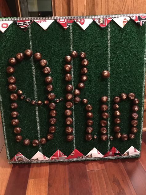 Crafts Using Real Buckeyes, Buckeye Crafts Diy, Real Buckeye Crafts, Osu Crafts Diy Ohio State Buckeyes, Crafts With Buckeyes, Buckeye Garland, Buckeye Crafts Ideas, Ohio State Basement, Buckeye Nut Crafts