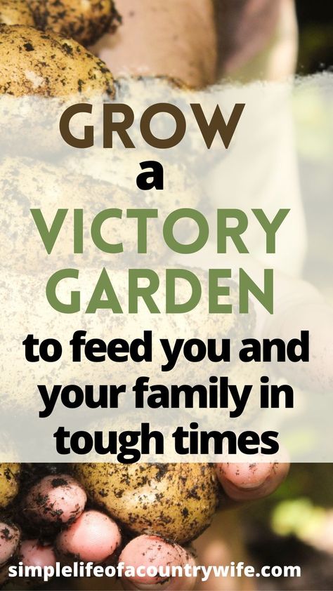 victory garden Victory Garden Ideas, Victory Garden Layout, Victory Garden Plans, Victory Gardens, Life On A Budget, Victory Garden, Garden Food, Zone 5, Frugal Living Tips