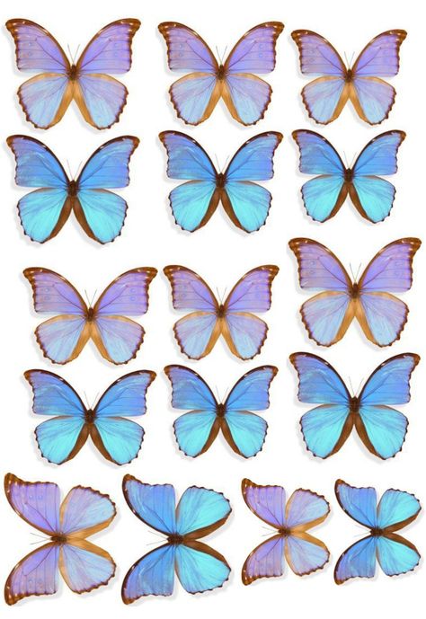 Photo Cake Topper, Butterfly Cake Topper, Blue Butterfly Wallpaper, Mermaid Cake Topper, Birthday Cake Topper Printable, Butterfly Template, Butterfly Printable, Diy Cake Topper, Diy Gift Set