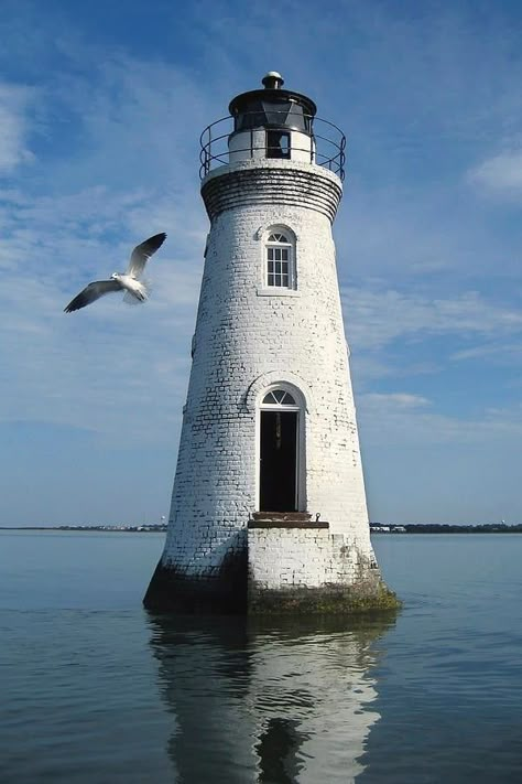 Lake Lighthouse, Architecture Photography Buildings, Lighthouses Photography, Nautical Inspiration, Lighthouse Photos, Lighthouse Pictures, Lighthouse Painting, Lighthouse Art, Beautiful Lighthouse