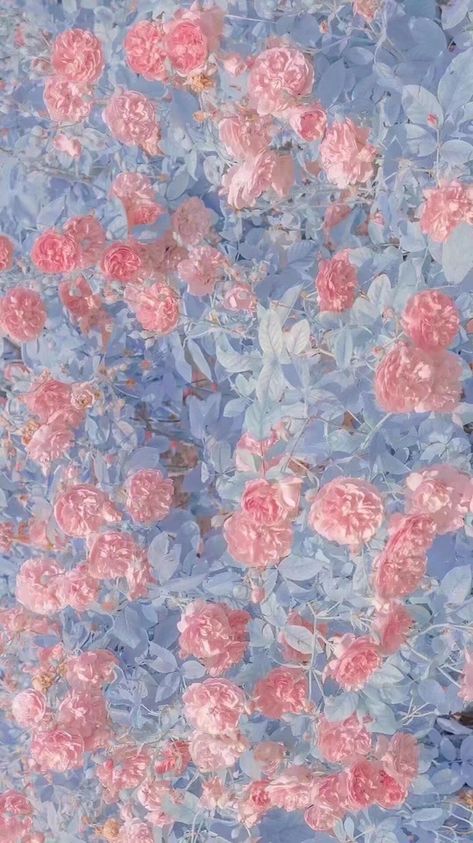 Blue Pink Wallpaper Aesthetic, Pink And Light Blue Aesthetic, Blue And Pink Widgets, Pink And Blue Wallpaper Aesthetic, Pastel Pink And Blue Aesthetic, Blue And Pink Wallpaper, Pink Flower Aesthetic, Pink And Blue Aesthetic, Pink Blue Wallpaper