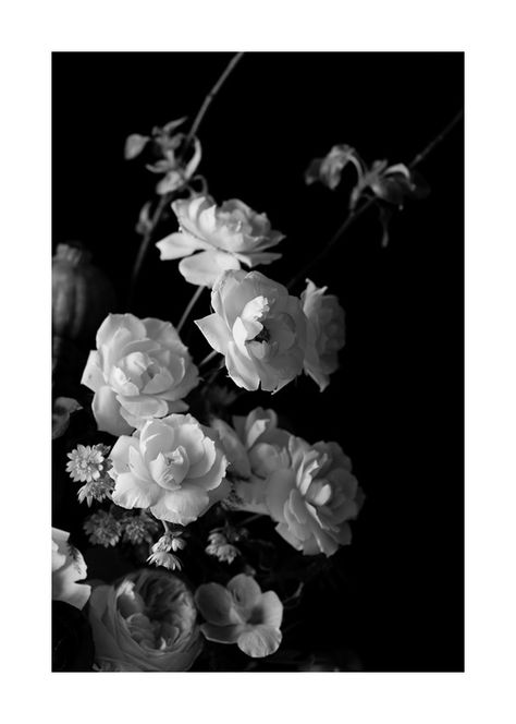 A close up on a beautiful Dutch Master style floral arrangement by Fleur in Chicago Artfully Walls, Black And White Floral, Floral Arrangement, Close Up, Chicago, Black And White, Flowers, Floral, White