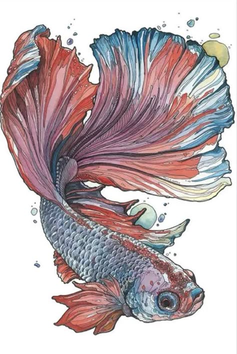 Beta Fish Drawing, Fish Sketch, Micron Pens, Lotus Flower Art, Art Alevel, Beta Fish, Watercolor Fish, Fish Illustration, Fish Drawings