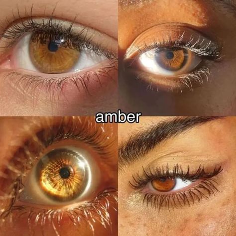 Brown Eye Color Chart, Brown Eyes With Gold Flecks, Pretty Eyes Brown, Bright Brown Eyes, Eye Color Names, Most Beautiful Eye Color, Types Of Brown Eyes, Russet Brown Eyes, Dark Amber Eyes