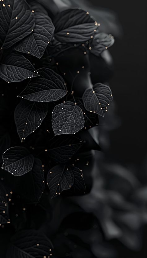 Beautiful Dark Background, Beautiful Wallpapers Backgrounds Dark, Best Dark Wallpapers Hd, Black Wallpaper Aesthetic Background, Black And Gold Wallpaper Iphone, Beautiful Dark Wallpaper, Gold Background Wallpapers, Dark Black Wallpapers, Black Flowers Aesthetic