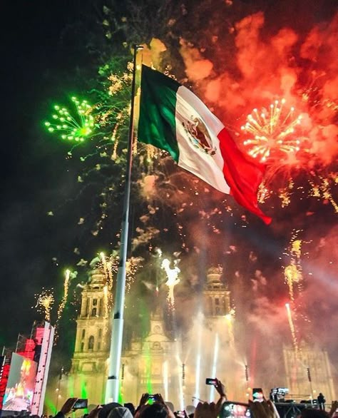 Mexico Pictures, Mexican Flag, My Culture, Mexican Culture, Flag, Wallpapers, Anime