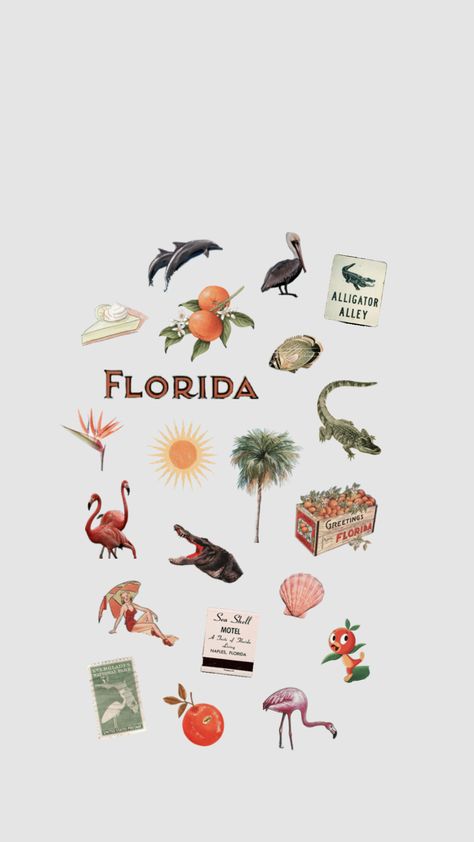 Old florida vibes Florida Stickers Aesthetic, Old Florida Aesthetic, Florida Clipart, Florida Aesthetic Wallpaper, Florida Symbols, Vintage Florida Aesthetic, Florida Background, Florida Collage, Fl Aesthetic