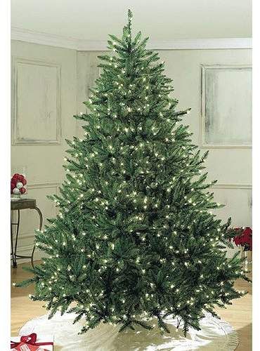 Queens of Christmas 6' Pre-Lit Sequoia Tree with Pure White Lights  #affiliate House Christmas Decorations, Artificial Christmas Tree Stand, Christmas Tree Shopping, Lit Christmas Tree, Luxury Christmas Decor, Holiday Decor Diy, Led Christmas Tree Lights, Faux Christmas Trees, Christmas Trees Ideas