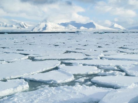 Arctic Mermaid, Fantasy Country, Snow Field, One Piece Dnd, Cold Places, Sea Surface, One Piece Aesthetic, Arctic Landscape, Cape Of Good Hope