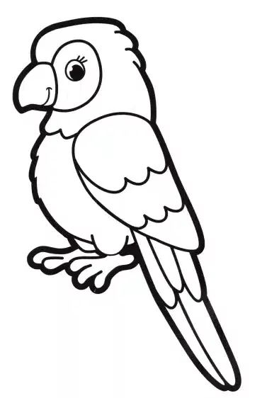 Papagei 30 coloring pages for kids in 2024 | Malvorlagen tiere, Vogel malvorlagen, Papagei zeichnung . #Parrot_Colouring_Pages #Parrot_Template #Jungle_Animal_Coloring_Pages #Parrot_Coloring_Page Parrot Colouring Pages, Parrot Drawing For Kids, Parrot Printable, Parrot Coloring Page, Jungle Coloring Pages, Jungle Drawing, Free Planner Pages, Animals Coloring Pages For Kids, Parrot Pattern