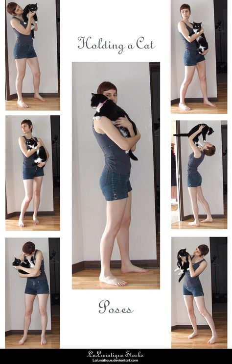 STOCK+-+Holding+a+Cat+by+LaLunatique.deviantart.com+on+@DeviantArt Cats Poses, Holding A Cat, Poses Standing, People Poses, Cat Pose, Human Reference, Body Reference Poses, Human Poses Reference, Foto Poses