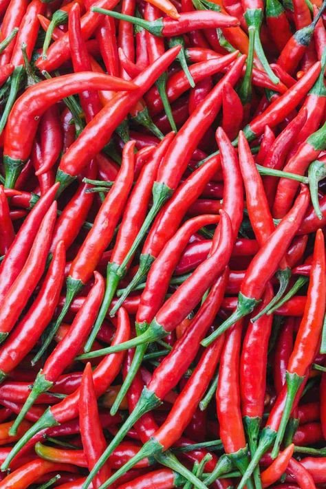 Cayenne Pepper Plant, Types Of Chili Peppers, Plant Herbs, Cayenne Pepper Sauce, Hot Pepper Seeds, Capsicum Annuum, Pepper Spice, Herbs Spices, Red Chili Peppers