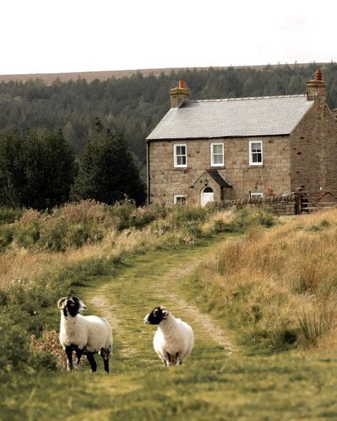 England Countryside, North York Moors, English Village, Country Lifestyle, Countryside House, British Countryside, English Countryside, English Cottage, Uk Travel