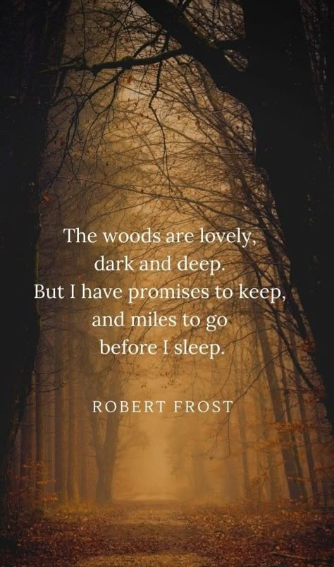 The Woods Quotes, Frost Quotes, Forest Quotes, Robert Frost Quotes, Robert Frost Poems, Snowy Evening, Nature Poem, Into The Woods Quotes, Sleep Quotes