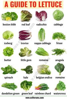 Types of Lettuce: 21 Different Lettuce Types with ESL Picture - ESL Forums Types Of Lettuce, List Of Vegetables, Ambrosia Salad, Food Charts, Food Info, Cooking Basics, Idee Pasto Sano, Food Facts, Fruit And Veg